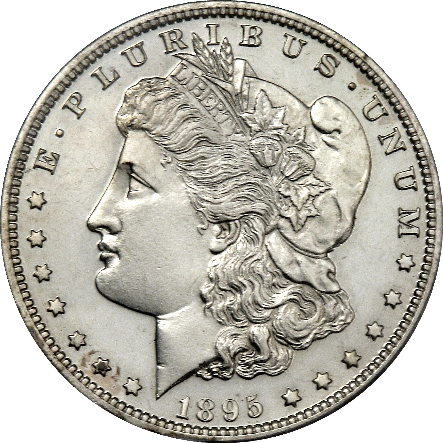ml s1  55 1895 Morgan Dollar